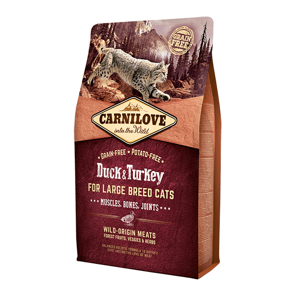 Carnilove cat food for large breeds: Duck & Turkey. wildcat image, 
