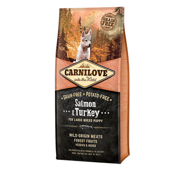 Carnilove dog food: Salmon & Turkey for Large Breed Puppy. Wolf in forest, 