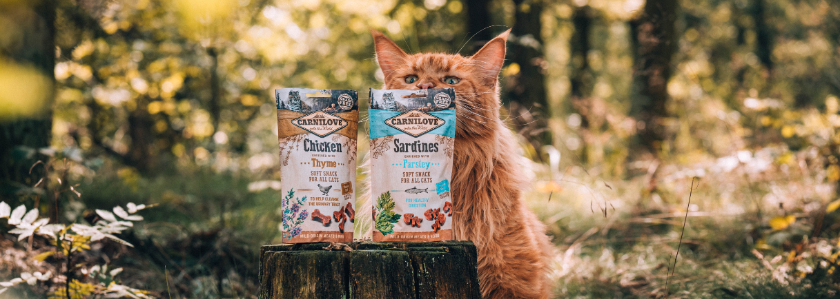 Chicken enriched with Thyme Soft Cat Treats