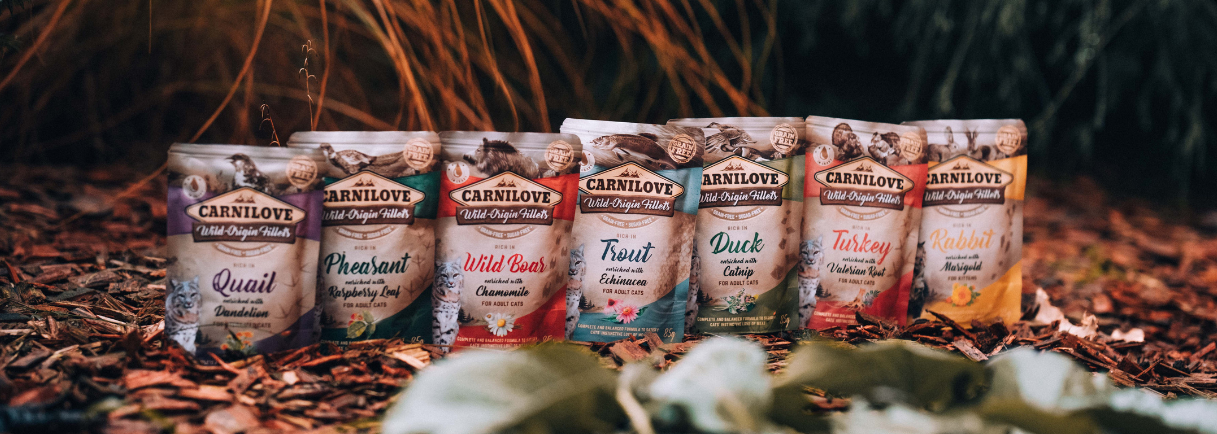 Rich in Quail Enriched with Dandelion Wet Cat Food