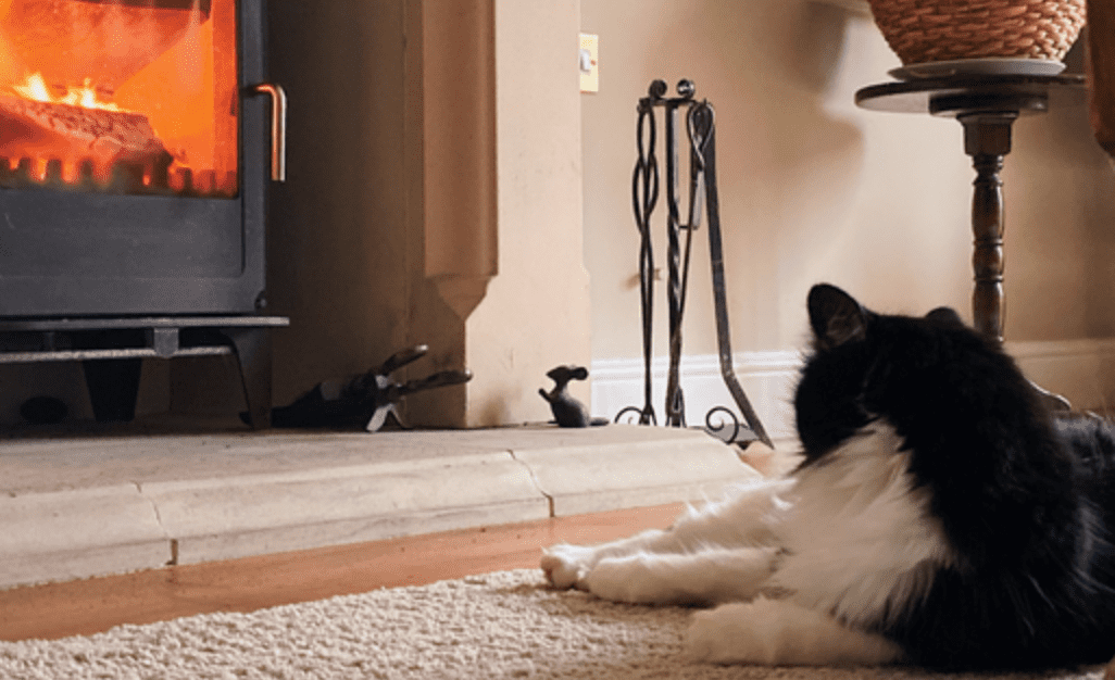 Black and white cat lounges on rug by lit fireplace. Copper pot, basket shelf add warmth to the cozy room scene.