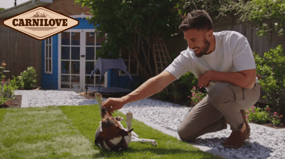 Man plays with dog on its back on lawn. Garden with blue shed behind. 