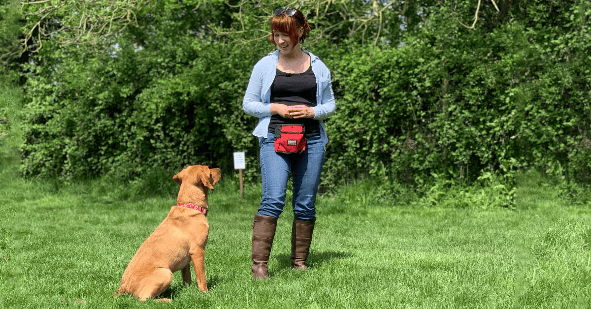 Woman on green grass with sitting dog; leafy tree background; red waist pouch.