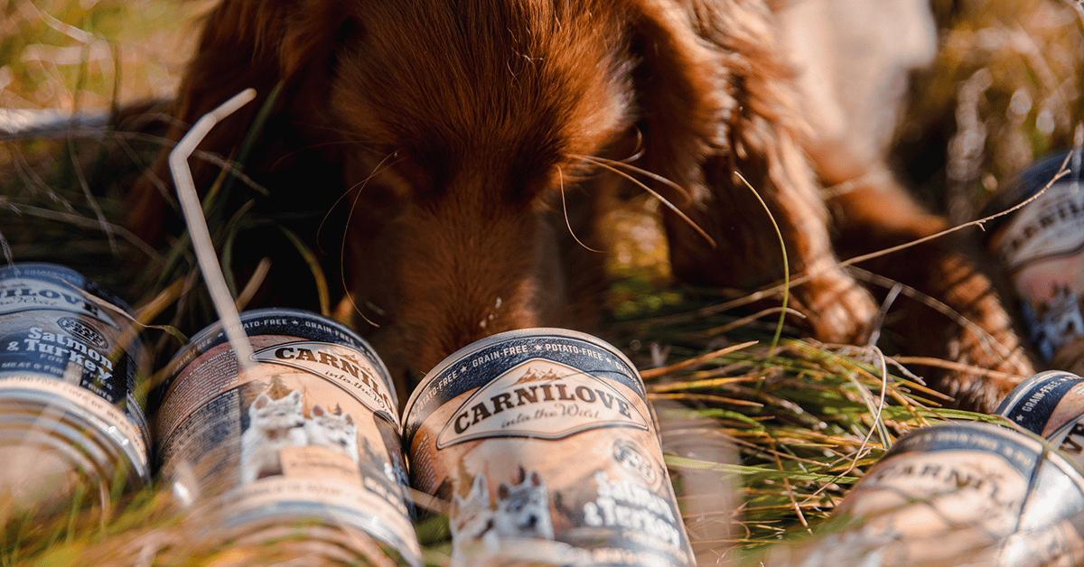 Feeding Puppies Carnilove