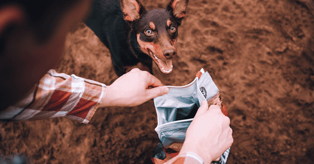 carnilove dog food feeding guide