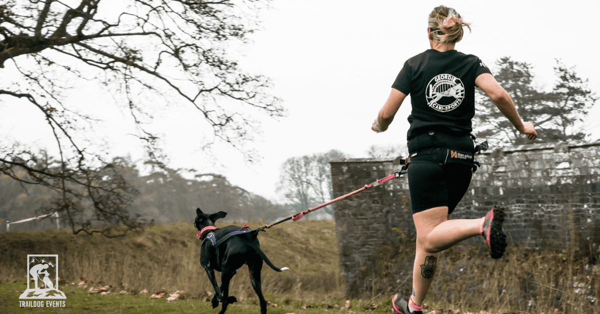 canicross event